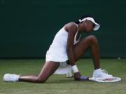 �����������, tennis, ������� � ������ 