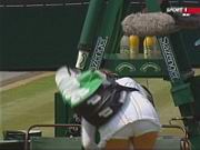 �����������, tennis, ������� � ������ 