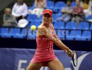 �����������, tennis, ������� � ������ 