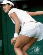 �����������, tennis, ������� � ������ 