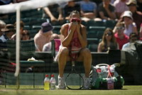 �����������, tennis, ������� � ������ 